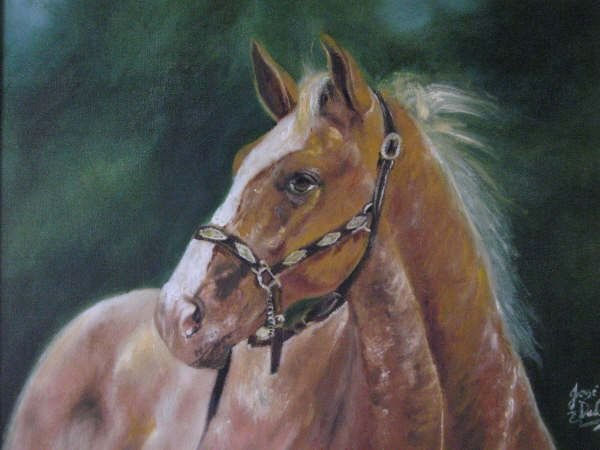 Caballo Mixed media Canvas Animals