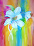 Arcoiris...