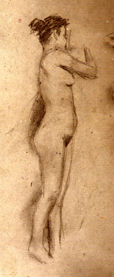 DESNUDO 