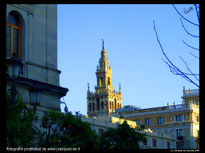 La giralda-005