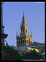 la giralda-006