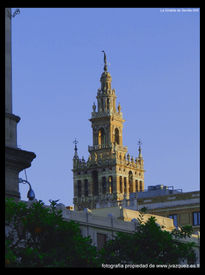 La giralda-006