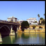 SEVILLA thumbnail 2