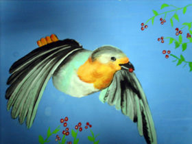 Colibri
