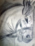 Caballo