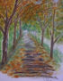 PAISAJE.9