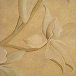 Orquídeas blancas thumbnail 2