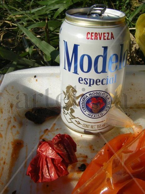 Picknick a la mexicana