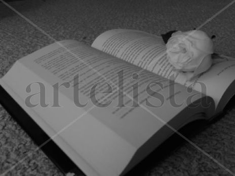 El libro y la rosa