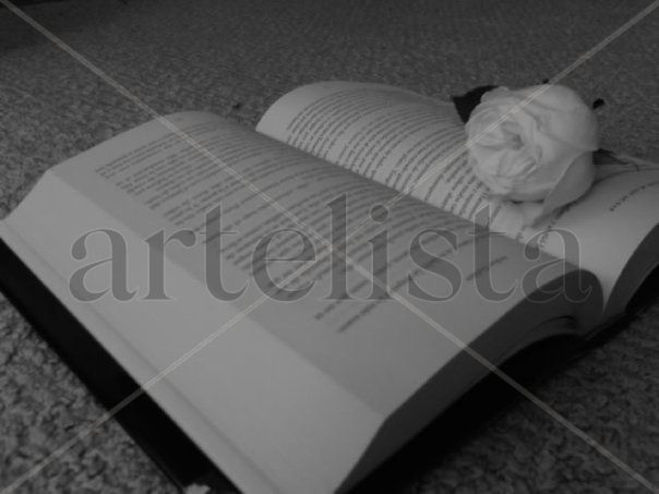 El libro y la rosa
