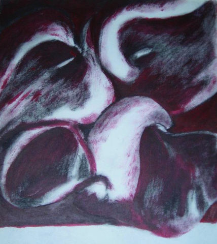 Tulipanes