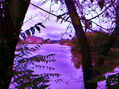 vista al otro lugar