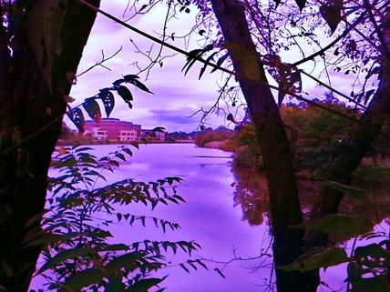 Vista al otro lugar