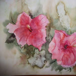 Coleccion Flores thumbnail 1