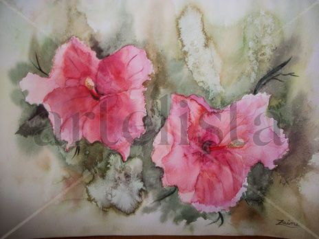 Tulipanes del jardin"