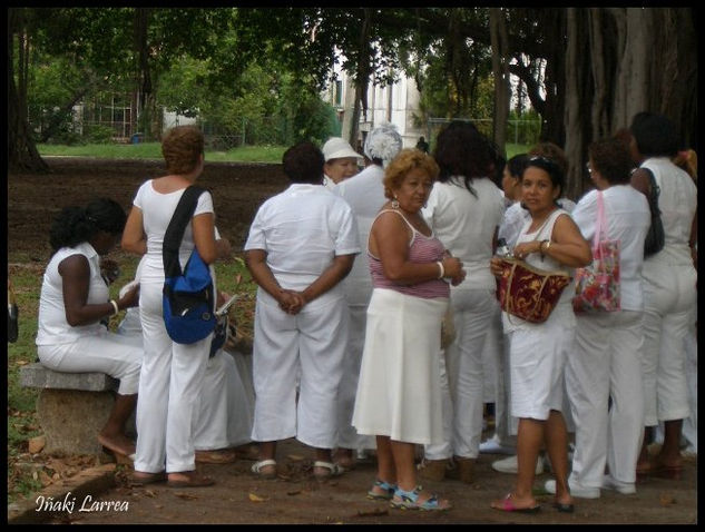 Las Damas de Blanco Fotoperiodismo y documental Color (Digital)