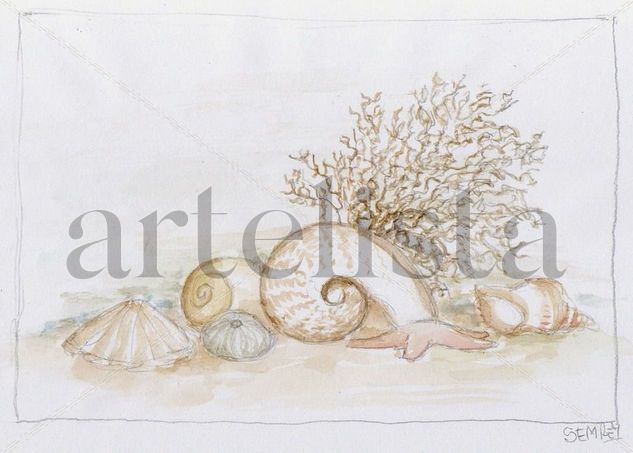 Caracolas. Boceto Watercolour Paper Marine Painting