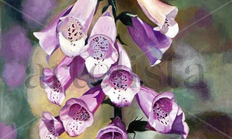 Flores, el perfume de la naturaleza
