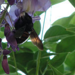 Naturaleza. thumbnail 2