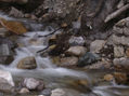 Arroyo Lopez . Bariloche