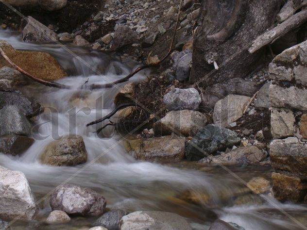 Arroyo Lopez . Bariloche