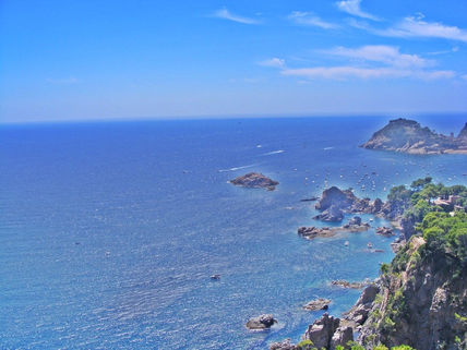 Calas 4