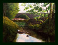riarol de mieras (LaGarrotxa)