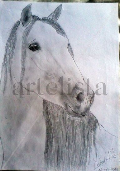 Caballo andaluz Pencil