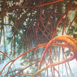 manglares thumbnail 2