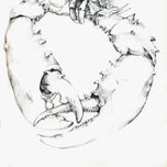 ANIMALES thumbnail 2