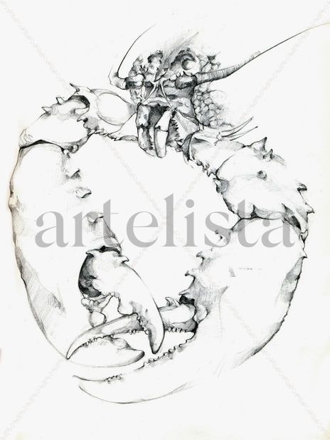 Crustaceo, (detalle)