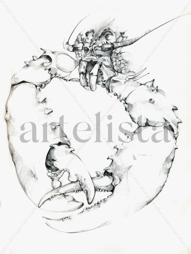 Crustaceo, (detalle)