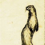 ANIMALES thumbnail 1