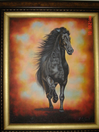 caballo negro 1 Oil Canvas Landscaping