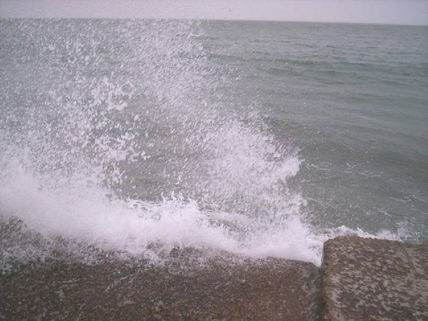 Furia
