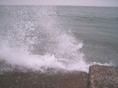Furia