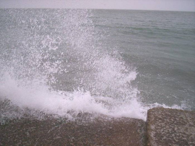 Furia