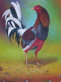 Gallo de pelea 2