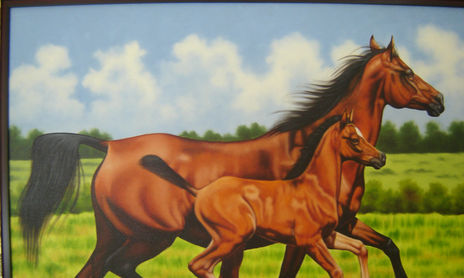 caballos varios - Galeria Internacional