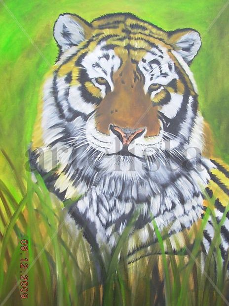Tigre descansando