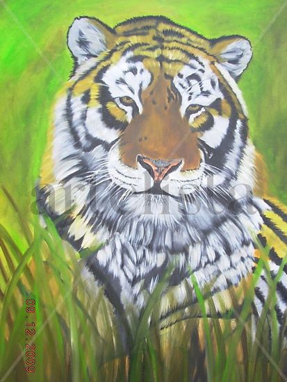 Tigre descansando Oil Canvas Animals