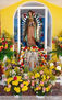 Guadalupe 170