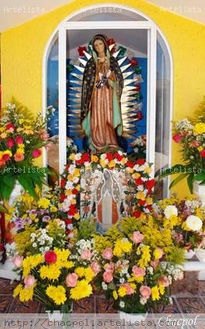 Guadalupe 170