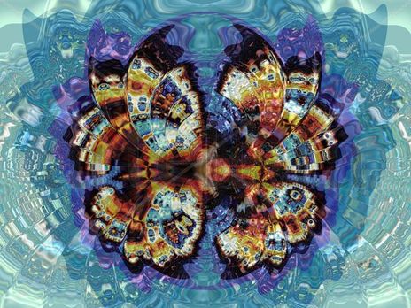 Mariposa