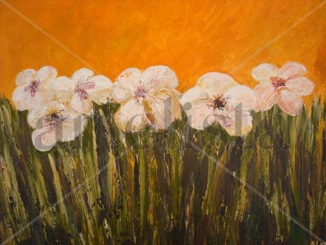 Flores