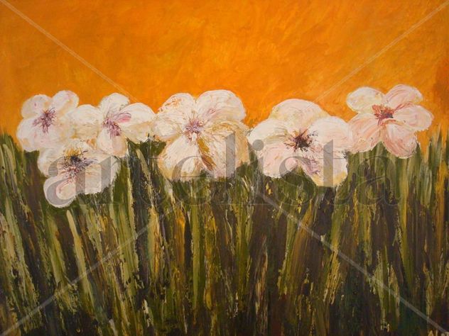 Flores