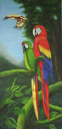 Guacamayas