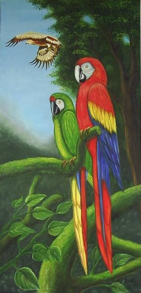 Guacamayas