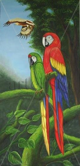 guacamayas 