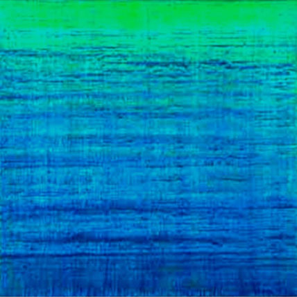 El Fondo del Mar